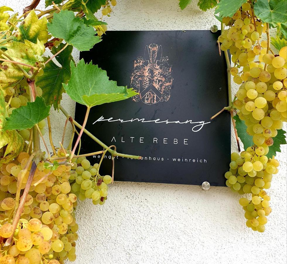 Zur Alten Rebe Ferienhaus Und Weingut Конц Экстерьер фото