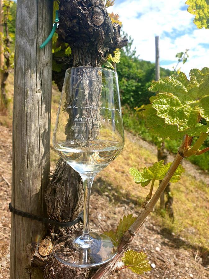 Zur Alten Rebe Ferienhaus Und Weingut Конц Экстерьер фото