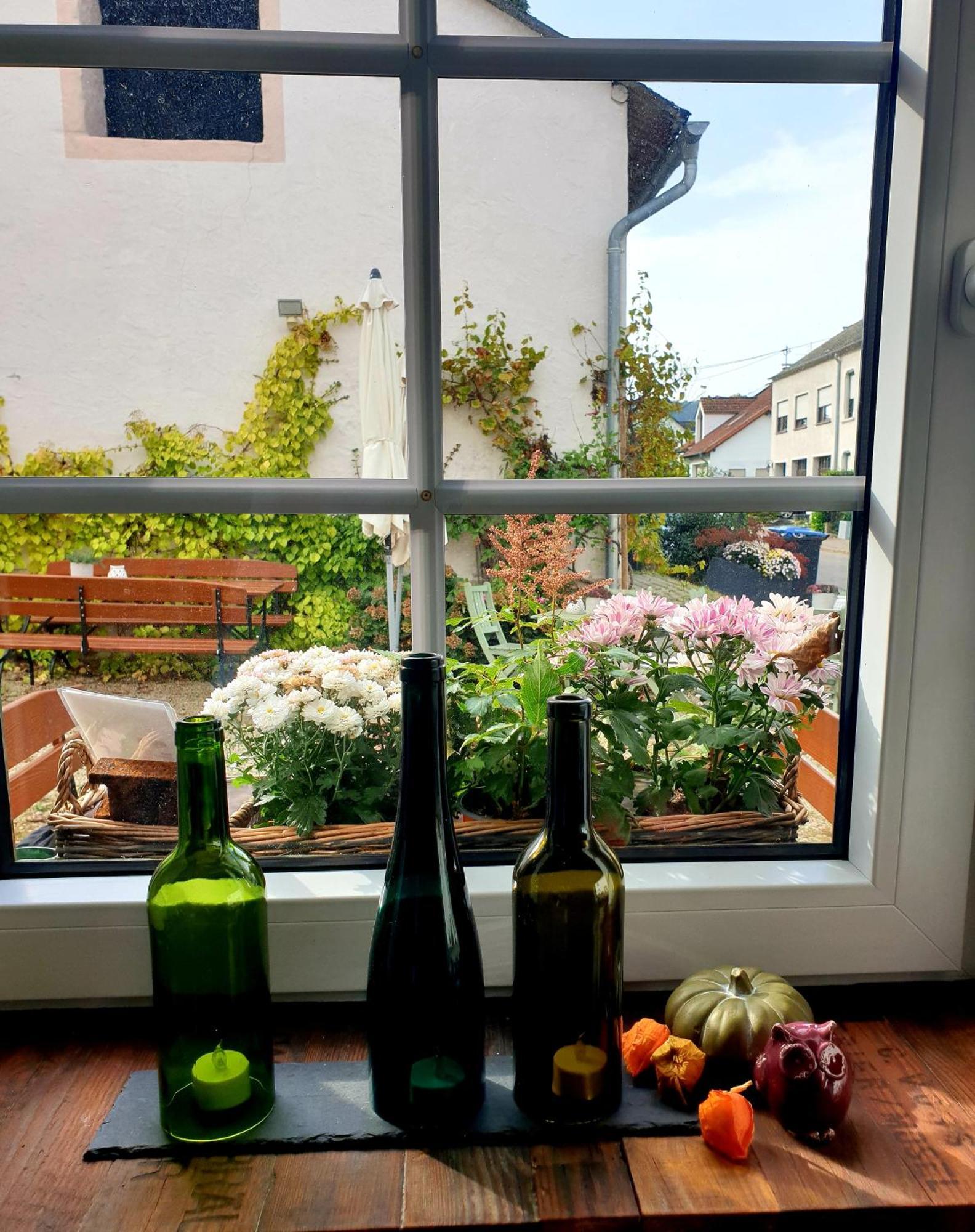 Zur Alten Rebe Ferienhaus Und Weingut Конц Экстерьер фото