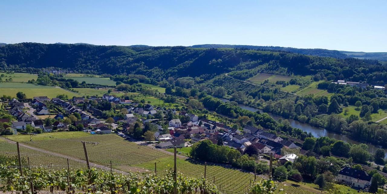 Zur Alten Rebe Ferienhaus Und Weingut Конц Экстерьер фото