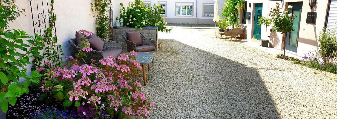 Zur Alten Rebe Ferienhaus Und Weingut Конц Экстерьер фото