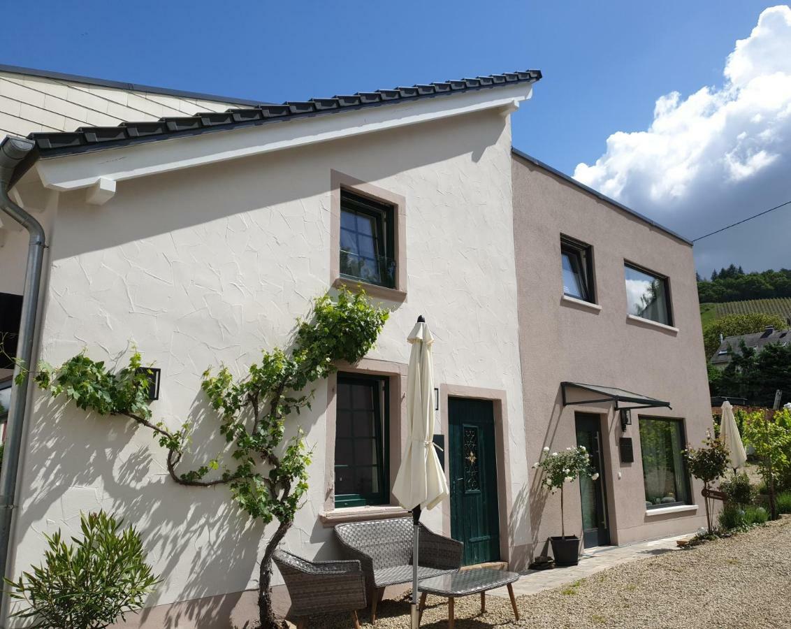 Zur Alten Rebe Ferienhaus Und Weingut Конц Экстерьер фото