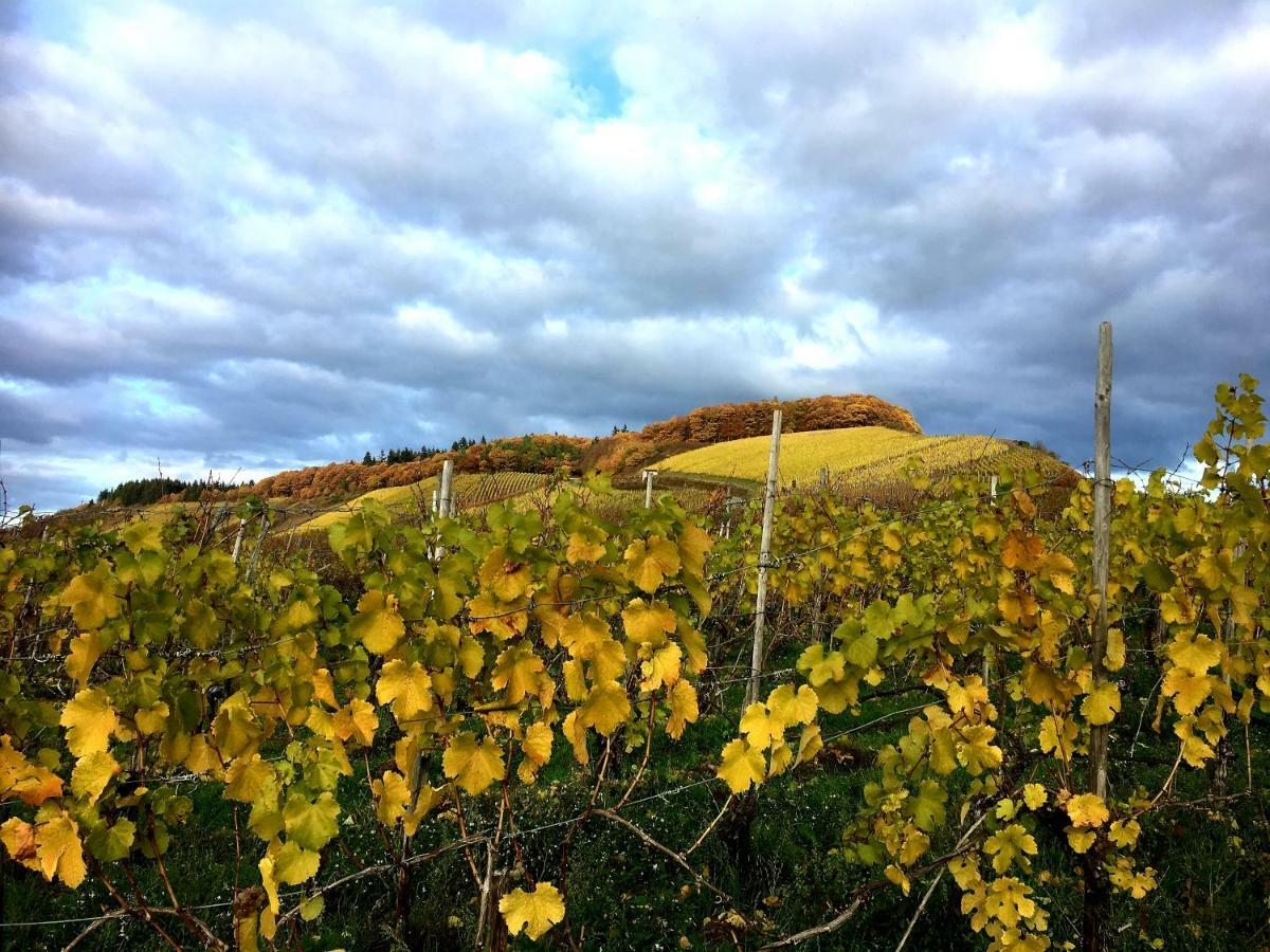 Zur Alten Rebe Ferienhaus Und Weingut Конц Экстерьер фото